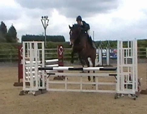 British Novice Show Jumping Arturos Whisker                                                                                                                                                                                                                    